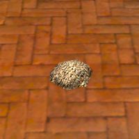 A Turmeric seeds