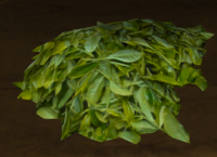 A Green tea leaves
