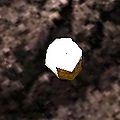 Thumbnail for version as of 21:21, 29 March 2011
