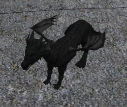 A Black dragon hatchling