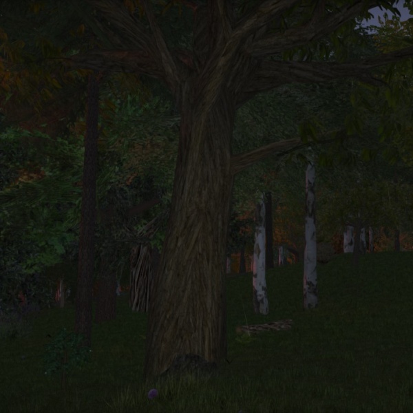 File:Chestnut.jpg