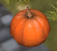 A Pumpkin