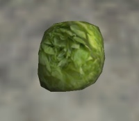A Lettuce