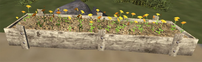 File:Orangered flowerbed.jpg
