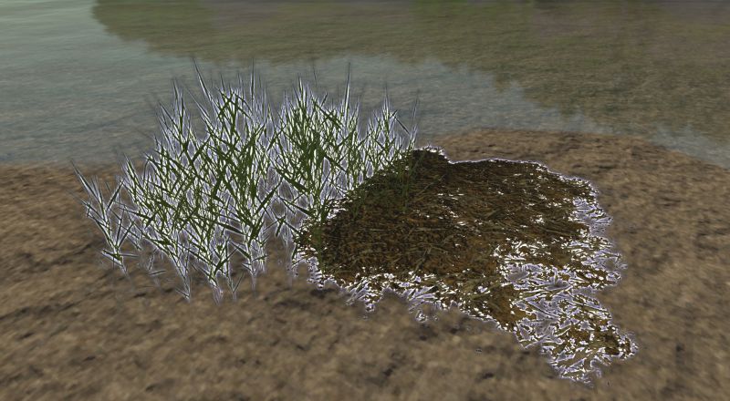 File:Seaweed.jpg