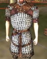 A Chain jacket