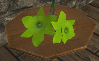 A Bouquet of greenish-yellow flowers