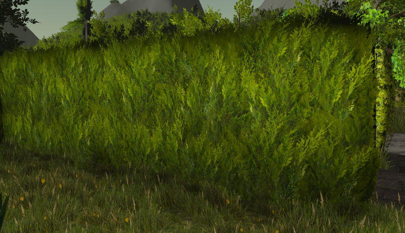 File:Cedar hedge.png