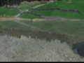 Reflection-trees.png