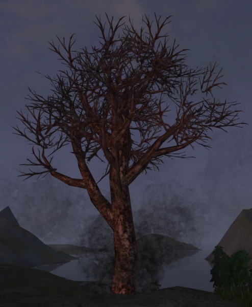 File:Rift plant.jpg