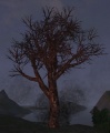 Thumbnail for version as of 18:49, 26 February 2017