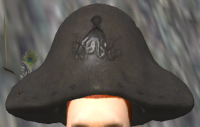 A Pirate hat