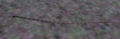 Thumbnail for version as of 18:54, 21 May 2009