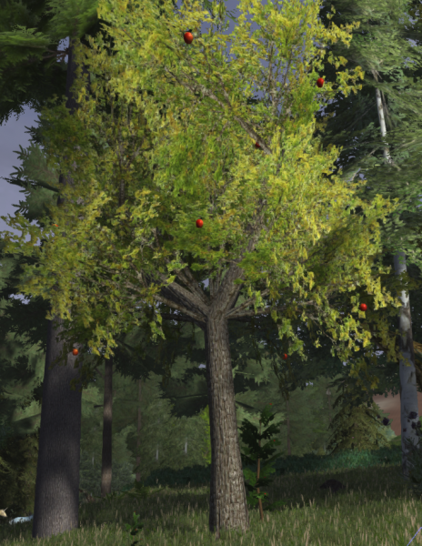 File:Apple tree fruit.png