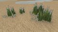 Dune grass.jpg