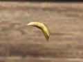 A Tooth