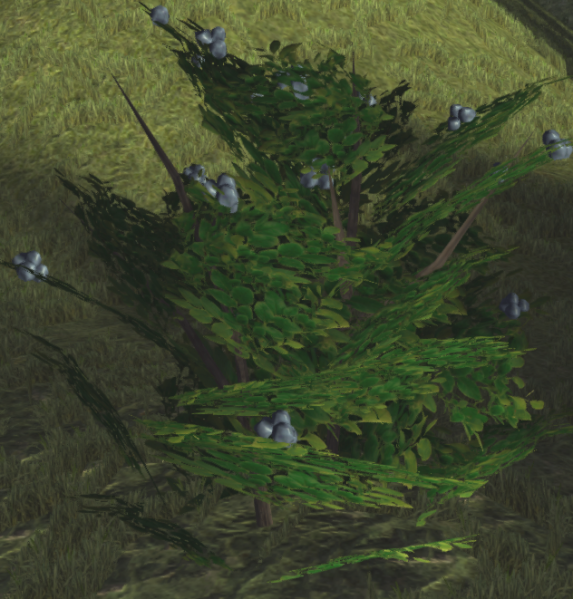 File:Blueberry bush fruit.png