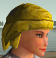 Thumbnail for version as of 23:22, 4 March 2021