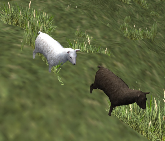 File:Black and White Lamb.jpg