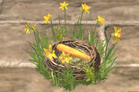 A Easter nest