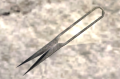 A Scissors