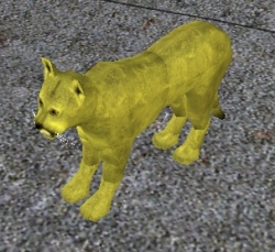 A Mountain lion