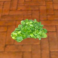 A Parsley