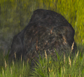 Thumbnail for version as of 23:11, 31 July 2022