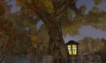 Thumbnail for version as of 00:03, 29 January 2014