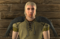 Black-winged Shoulderpads.png