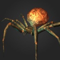 Lava spider.jpg