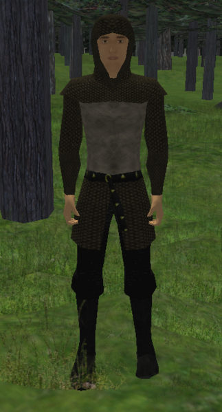 File:Isleguard.png