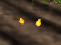 Chicken.png