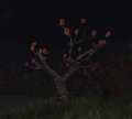 Thumbnail for version as of 23:11, 16 October 2019