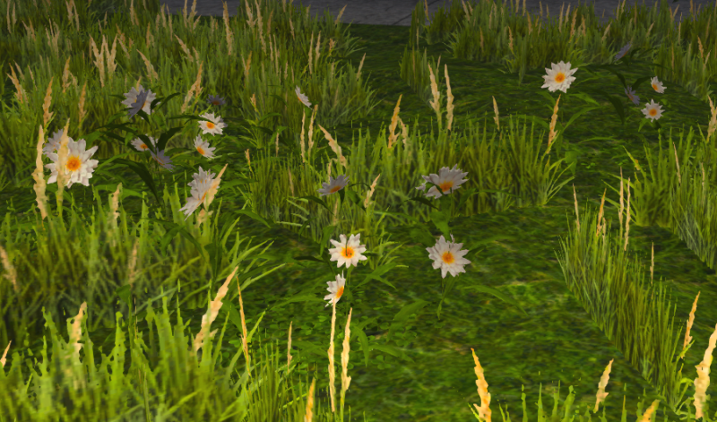 File:Fairy garden.png