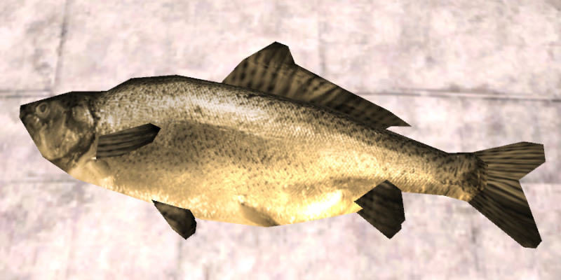 File:Carp.png