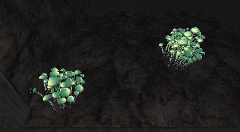 File:Fungus.jpg