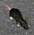 Thumbnail for version as of 08:54, 3 January 2013