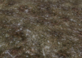 Thumbnail for version as of 16:48, 15 August 2011