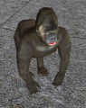 Thumbnail for version as of 08:49, 3 January 2013