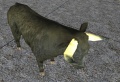 Thumbnail for version as of 08:43, 3 January 2013