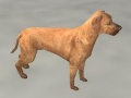 Thumbnail for version as of 20:09, 28 December 2012