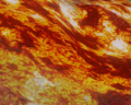 Thumbnail for version as of 17:07, 15 August 2011