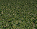 Thumbnail for version as of 11:18, 16 May 2011