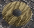 Thumbnail for version as of 15:45, 8 August 2011