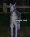 Thumbnail for version as of 03:31, 23 November 2011