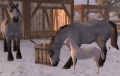 Thumbnail for version as of 01:05, 2 January 2013
