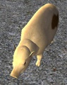 Thumbnail for version as of 08:57, 3 January 2013