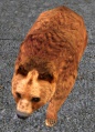 Thumbnail for version as of 08:39, 3 January 2013