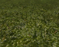 Thumbnail for version as of 20:36, 16 May 2011